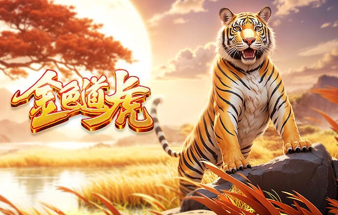 B费：我没有多一双眼睛只是会阅读比赛 会根据队友类型送不同传球